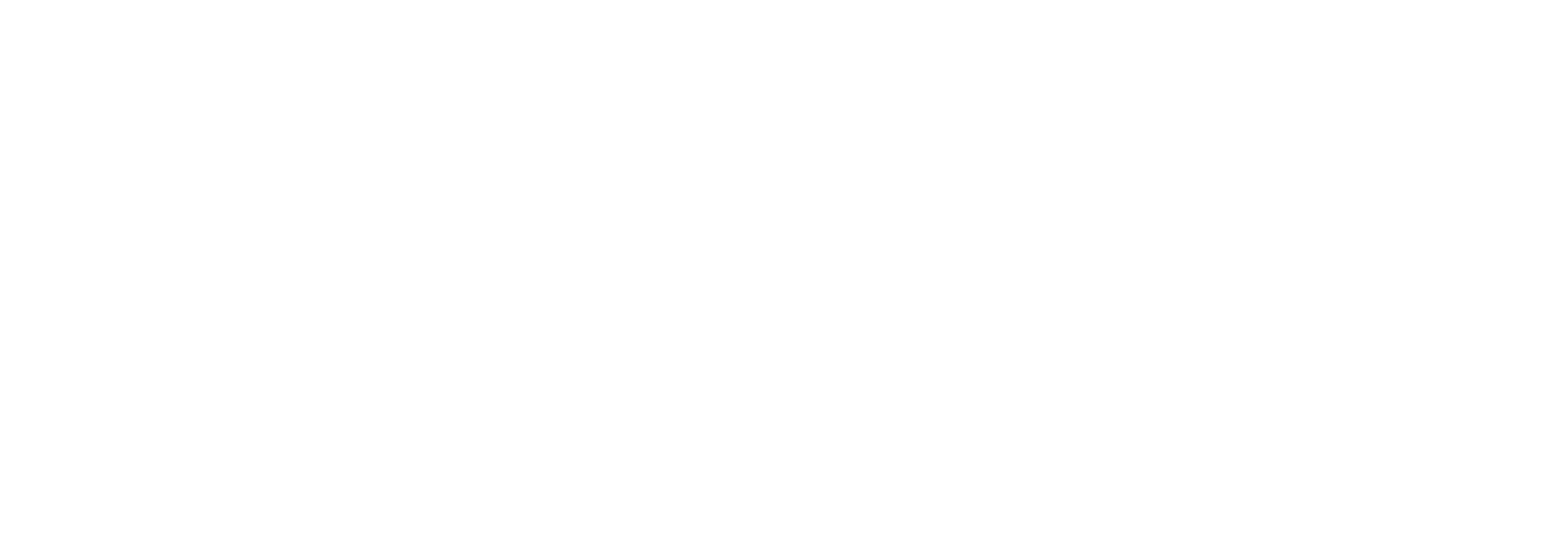 NEMESIS Immobilier